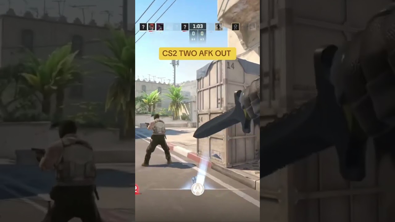 CS2 TWO AFK OUT 
