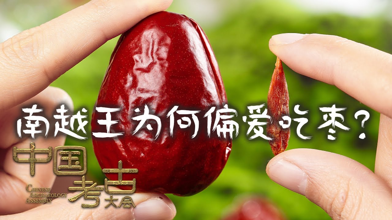 一颗枣核 竟隐藏着南越王的“长寿秘籍”?|《中国考古大会》中华国宝 - YouTube