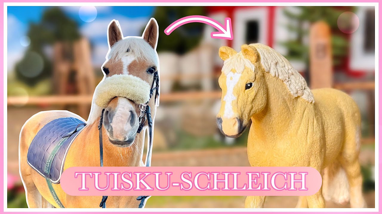 TEHDÄÄN TUISKUN NÄKÖINEN SCHLEICH🤩