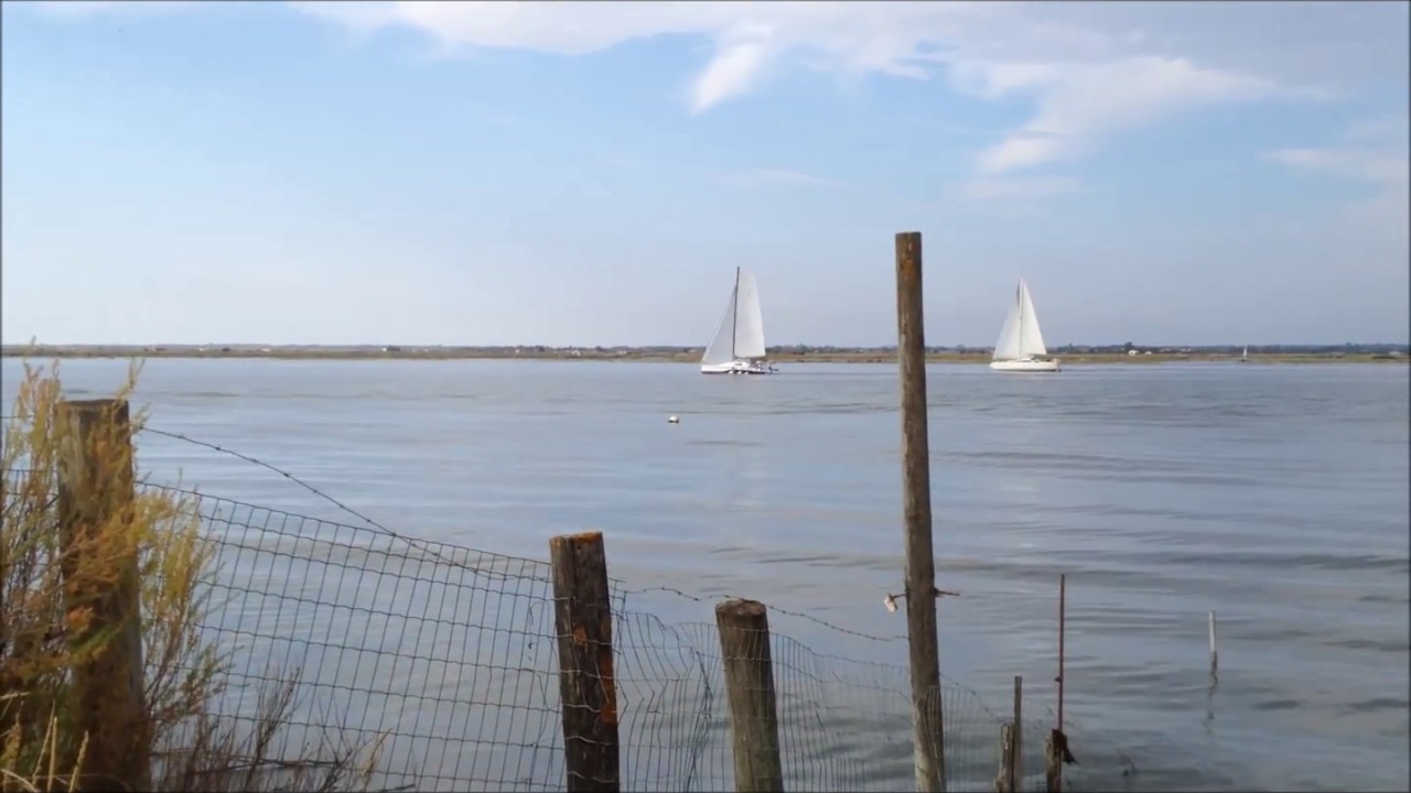 Remontée de la Seudre 2018 en TRICAT 25