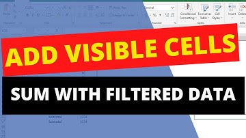 How to sum in excel with filtered data - Subtotal Formula