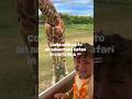 Adventure Safari In Costa Rica, Zebras, Giraffes and more, fun for kids. #CostaRica