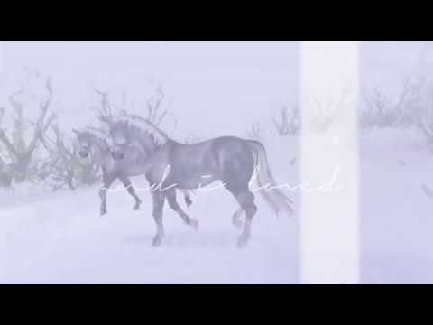 Star Stable Online