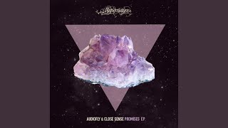 You Promised (feat. Daniel Wilde) - Audiofly, Close Sense
