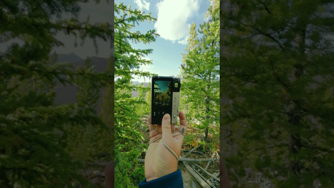 comment below to learn the film simulation I used 