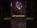 🎆 Farewell 2023 and Happy New Year 2024 from Goloka! 🌟