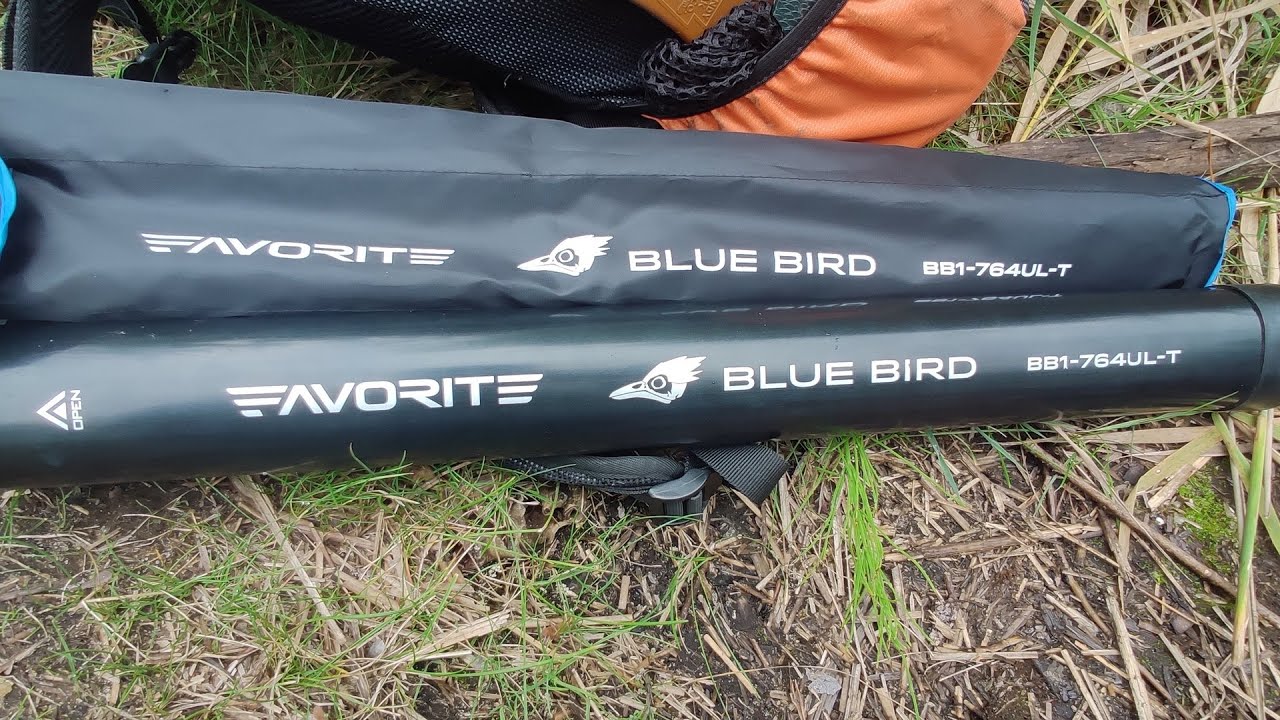 Bird Systems Compact Lamp Pro 20 W E27, 2.4 % UVB, 1.0 UVI pro syntézu
