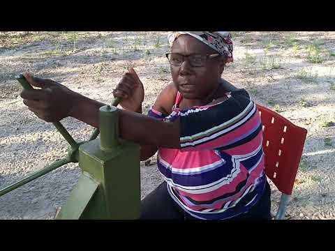 Embrapa Cocais - Ferramenta Individual para Quebra de Coco Babaçu - 17out2019 - Entrevista