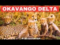 Botswana’s Okavango Delta 4K- Heaven on Earth | Scenic Animal Film With African Music