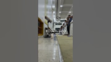 القارئ عبدالله علي ماتيسر من سورة النبأ 