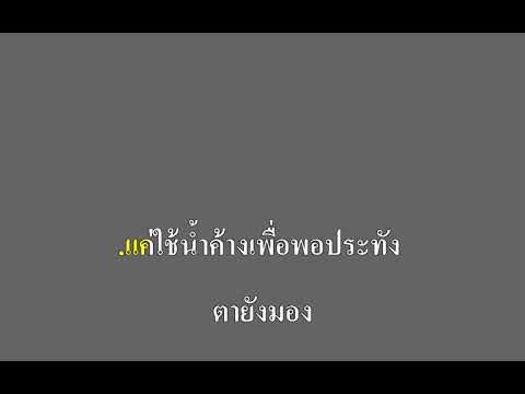 หนอนผีเสื้อ - หนู มิเตอร์ อาร์ สยาม คาราโอเกะ
