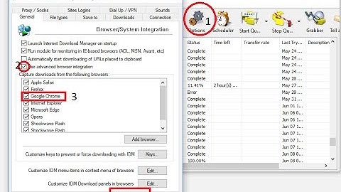 idm integration module for chrome
