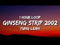 Yung Lean - Ginseng Strip 2002 (1 Hour Loop) "Bitches come and go brah, But you know I stay