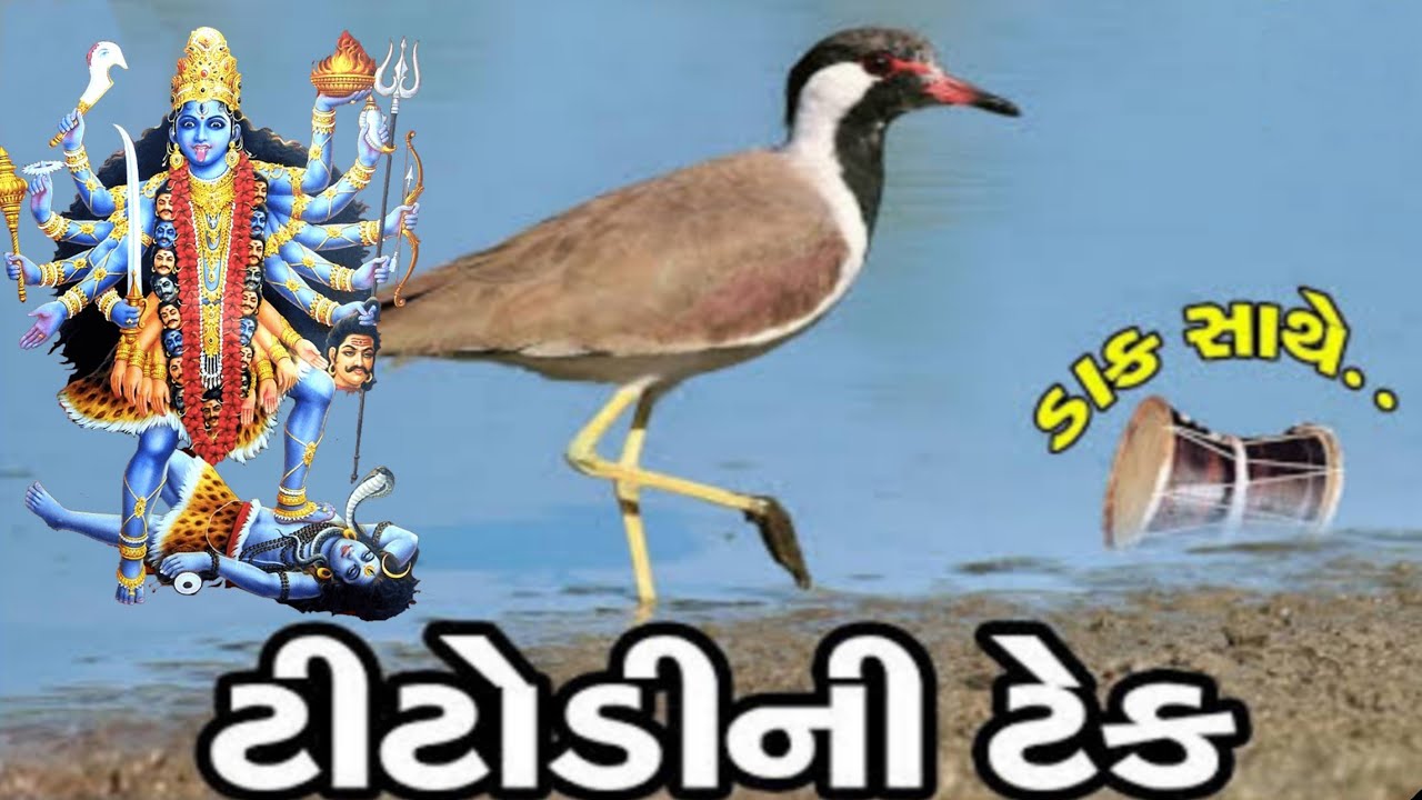 આતો દેવી કેવાય ભાઈ