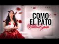 Lili Zetina - Como El Pato (Video Lyrics Oficial)