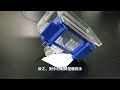 Step-by-step tutorial for Western Blot experiment (principles and gel preparation).