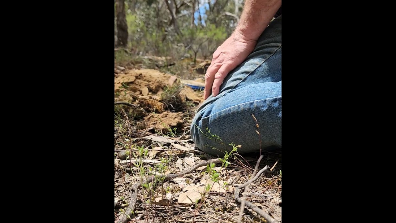 1.1 GRAM NUGGET!!!.. in an old riverbed with the gpz7000 and the 15cc x-coil