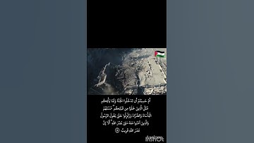#قرآن #القارئ_عمر_عرفات #المصحف #القارىء_اسلام_صبحي #فلسطين_حرة