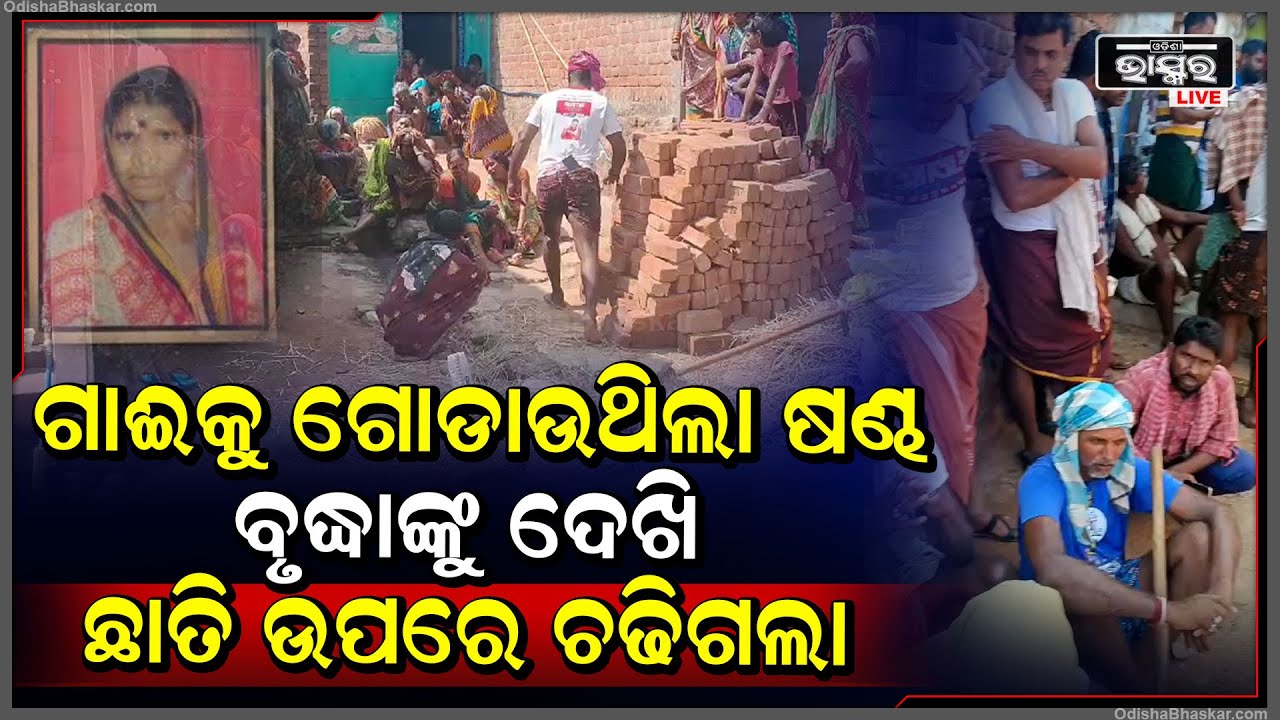 ସକାଳୁ ନିଜ କାମରେ ବାହାରି ଯାଇଥିଲେ ହେଲେ ଆଉ ଫେରିଲେନି ବୃଦ୍ଧା I ବାଟରେ ଯାଉ ଯାଉ...