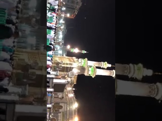 ٧ نوفمبر، ٢٠١٩