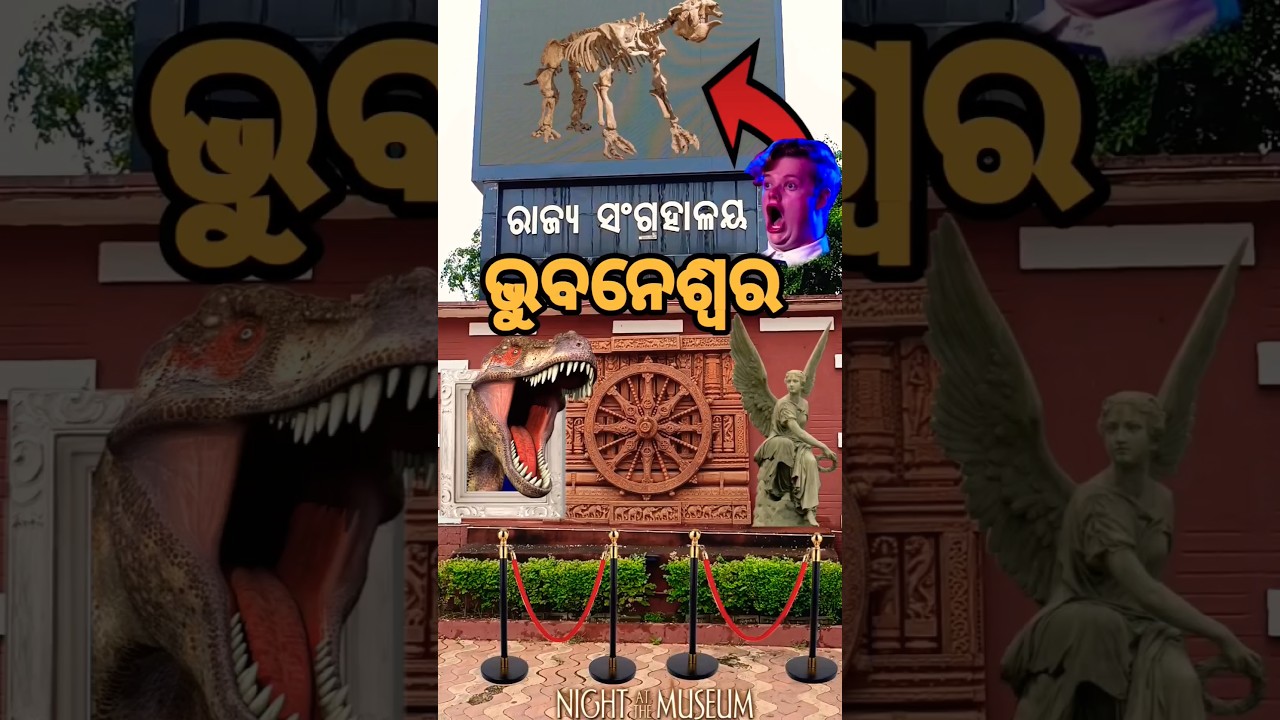 State Museum 😲 Bhubaneswar Odisha 