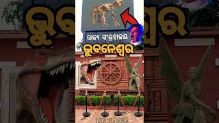 State Museum Bhubaneswar Odisha