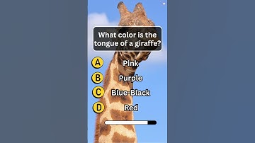 Animals Quiz  | Trivia game questions | English Quiz Game