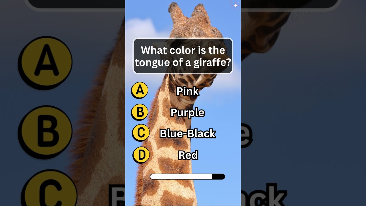 Animals Quiz  | Trivia game questions | English Quiz Game