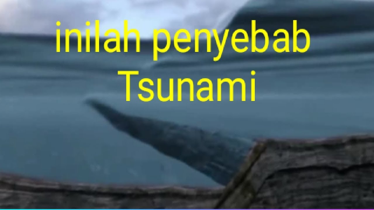 Tsunami Apa Itu Sebab Jenis Akibat Foto Dan Video Planet Bumi