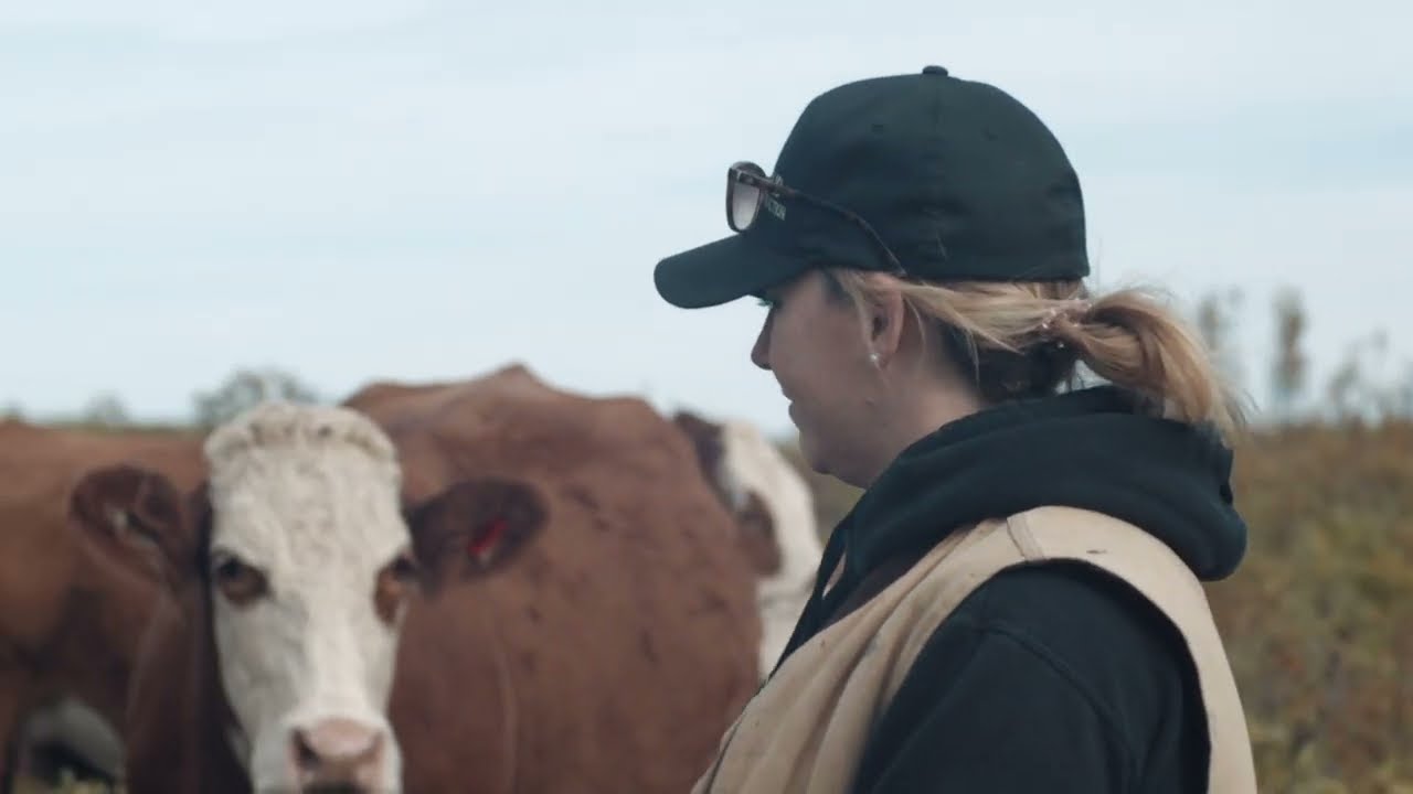 Thumbnail for L’assurance des prix du bétail en trois minutes