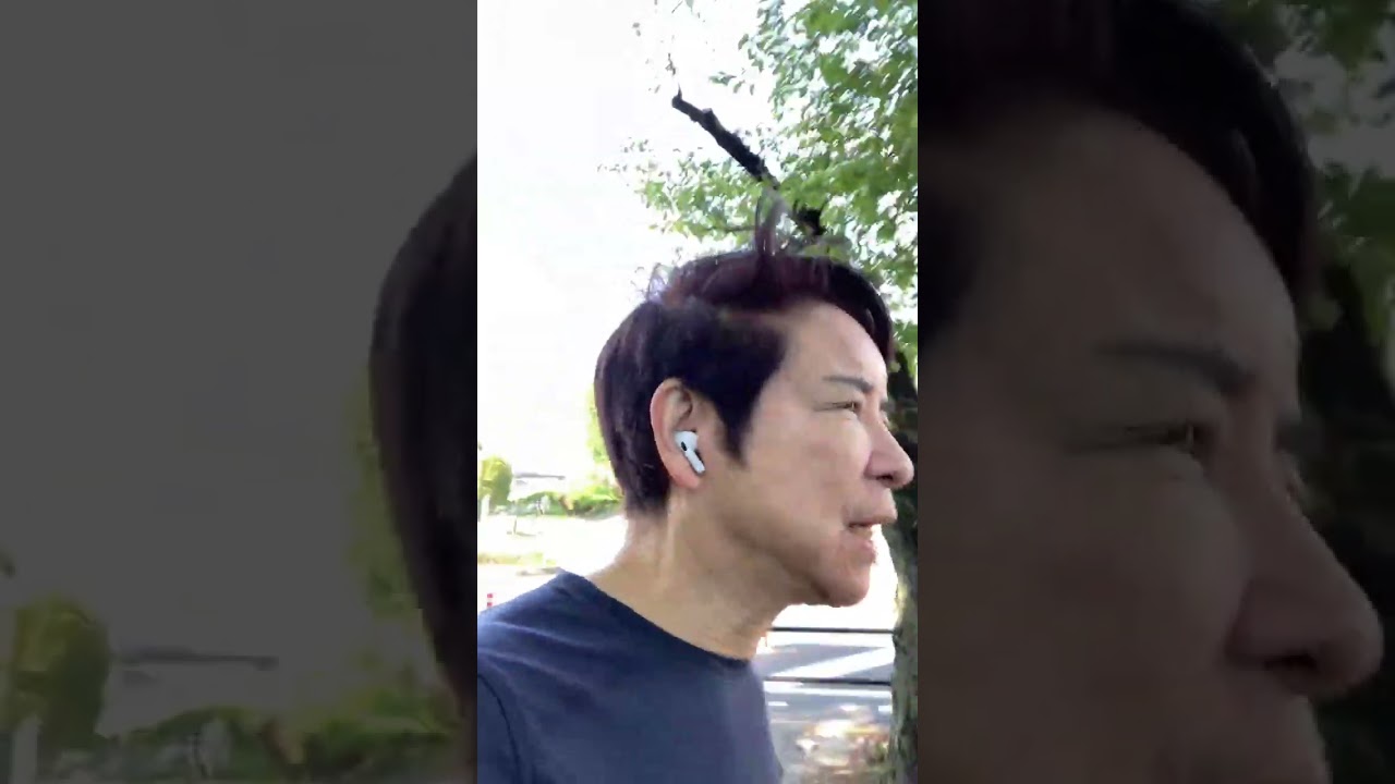ライブ ハイライト