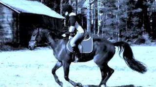 Lucky Valentino & S.n. Lion Lord - October & April