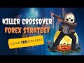 Killer Crossover Forex Strategy | 100 pips EASY | 7 Examples Shown