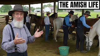 12 Strange Things Amish Men Do To Care For Their Horses Daily | The Amish Life
