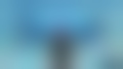 I have admin commands(Tower of hell free gravity coil)