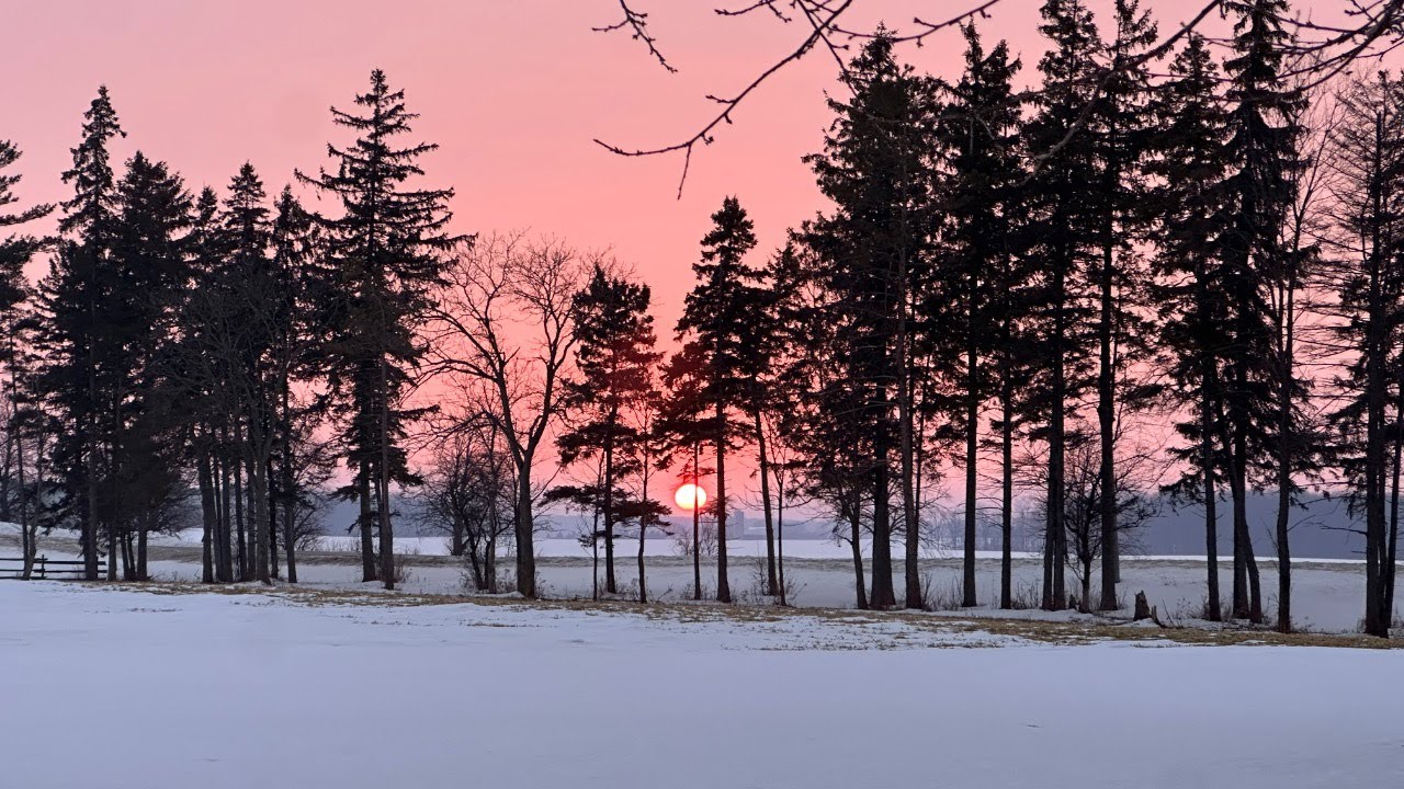 Sunday Service: Together We Thrive