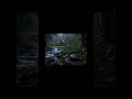 Peace in the Rain 🌧️ Kerala Temple Ambience - Forest Temple #naturesounds #rainambience