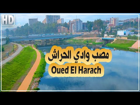 الجزائر العاصمة تهيئة مصب وادي الحراش ومحيطه جولة في مصب وادي الحراش  الجزائر العاصمة تهيئة مصب وادي الحراش ومحيطه جولة في مصب وادي الحراش