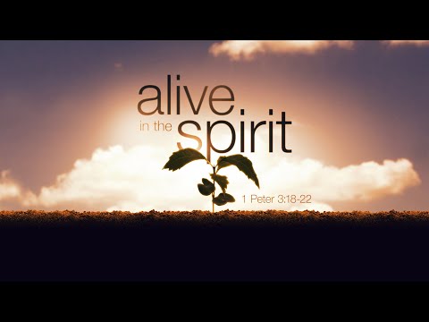 Alive in the Spirit: This Little Light of Mine