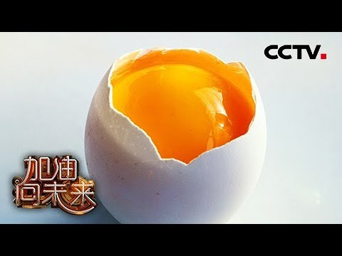 [ 加油！向未来 第三季 ] 蛋黄在小鸡胚胎发育过程中有什么作用？ | CCTV