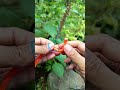 Effective way to connect two ropes of different sizes 👍 #knot #tricks #tips #survive #fyp