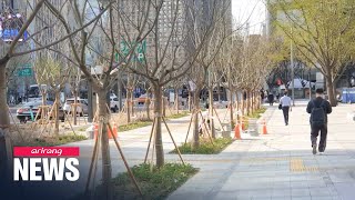 Construction completed on Seoul’s Sejong-daero Forest Street, opens to public