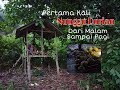 Vlog Nunggu Durian Malam Hari Di Hutan || with Brothers