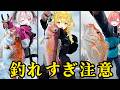 【実写動画】高知の海には夢がある【#うおむすめ】【#うおロケ】