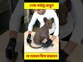ছেলেটি ২৪ ঘন্টার মধ্যে এক ভয়ানক চ্যালেঞ্জ কমপ্লিট করলো 😱 #shorts
