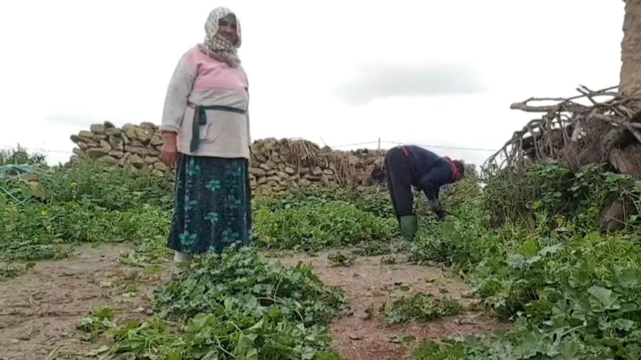 عيطت أمي كترد روح ولي كنتي مديراش بحسابو هو لصدق معاك