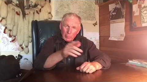 Buddy Sour and Trailer Shy