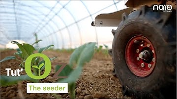 #Tut’Oz - 2020 - Seeder