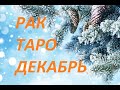 🎄 РАК ТАРО декабрь