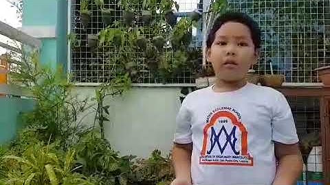 Science Grade 4 Performance Task | Chemical Change